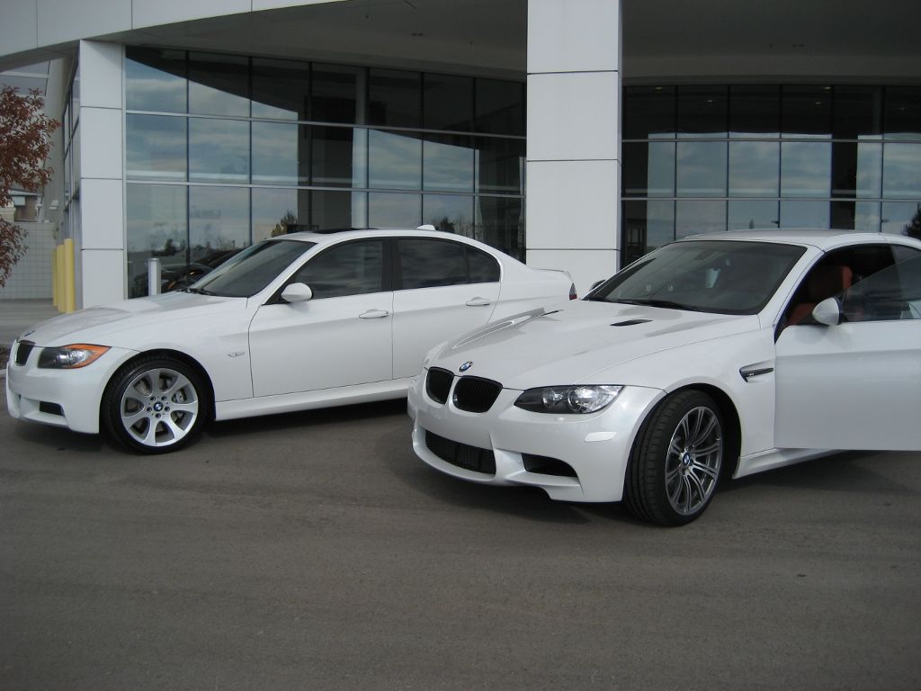 Bmw m3 alpine white vs mineral white #4