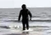 ShocknAwe user avatar