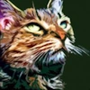 Esteban user avatar