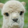 sgreer78 user avatar