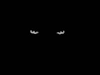 TEGRITY user avatar