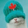 canucklion user avatar
