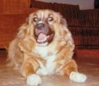 dudley@07726 user avatar