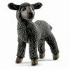 Black Sheep user avatar