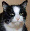 Slappy00 user avatar