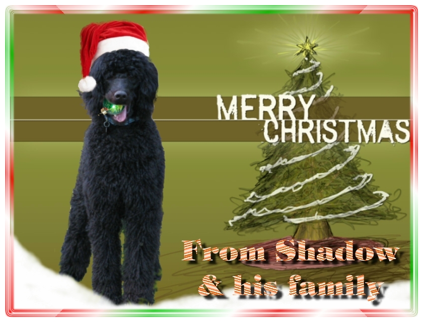 Name:  shadow-christmas-card-3.jpg
Views: 34875
Size:  291.5 KB