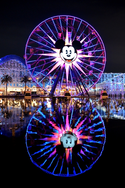 Name:  Mickey upright Reflection.JPG
Views: 1097
Size:  281.0 KB