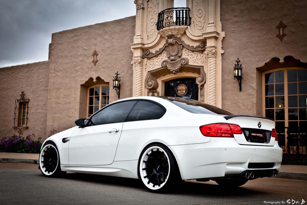 Name:  vossen22.jpg
Views: 6172
Size:  234.3 KB