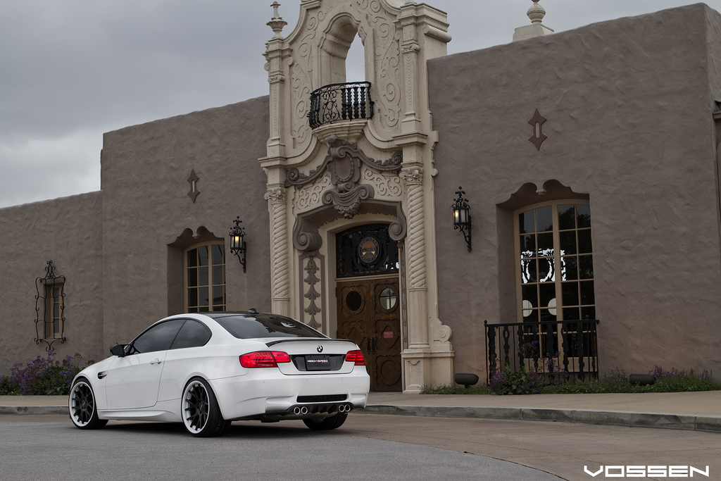 Name:  vossen23.jpg
Views: 6153
Size:  317.0 KB