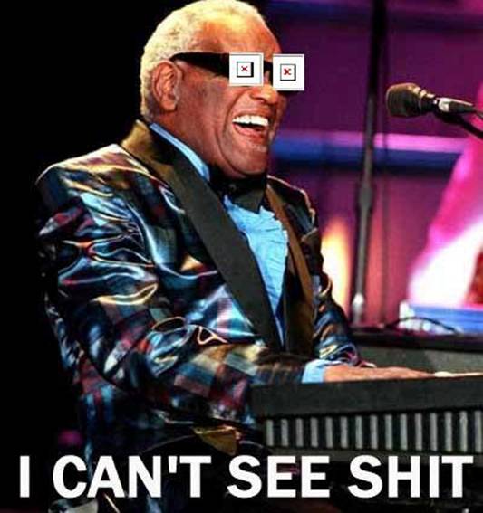 Name:  ray-charles-i-cant-see-shit.jpg
Views: 56671
Size:  41.5 KB