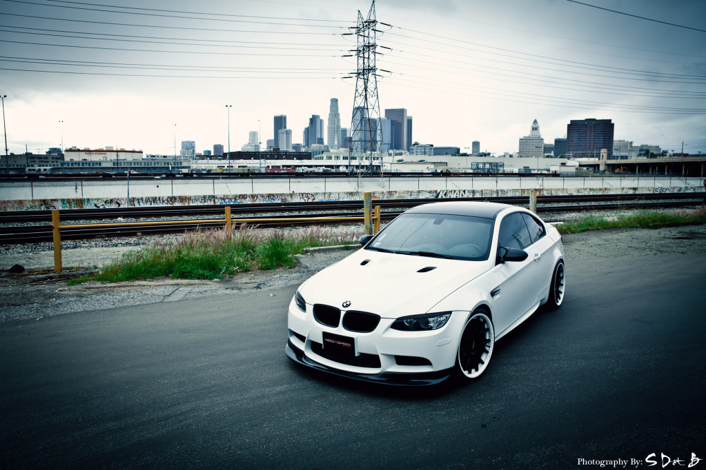 Name:  vossen20.jpg
Views: 6241
Size:  268.6 KB