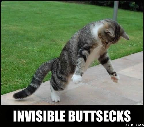 Name:  Invisible_buttsecks.jpg
Views: 23419
Size:  35.0 KB