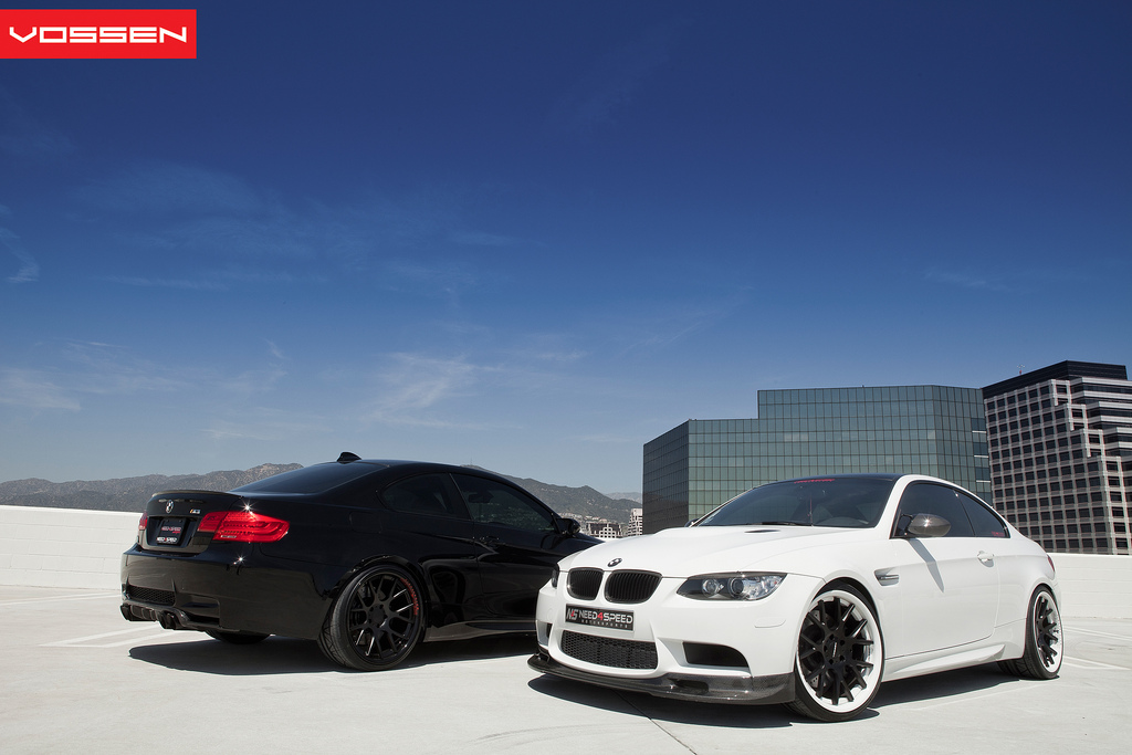 Name:  vossen09.jpg
Views: 6557
Size:  234.2 KB