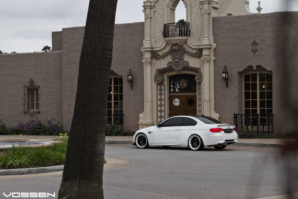 Name:  vossen25.jpg
Views: 6156
Size:  325.8 KB