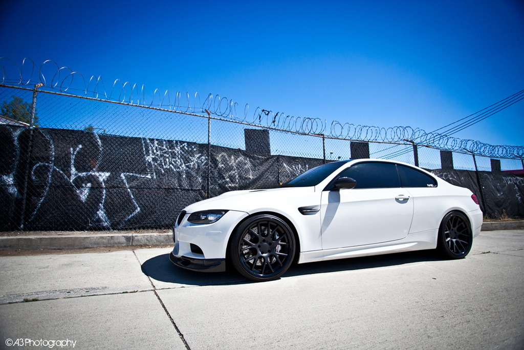 Name:  vossen31.jpg
Views: 6088
Size:  662.6 KB