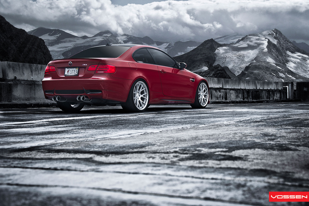 Name:  vossen49.jpg
Views: 5873
Size:  382.5 KB