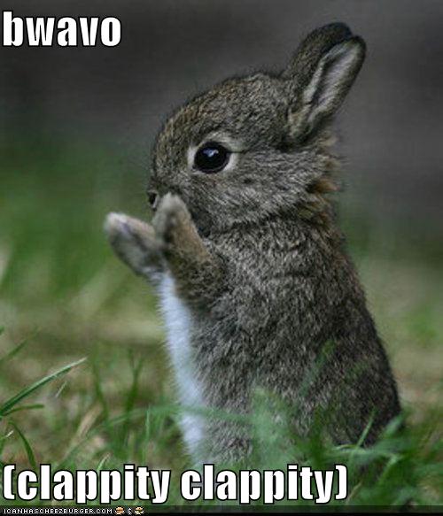 Name:  funny-pictures-bravo-bunny.jpg
Views: 1011
Size:  44.8 KB