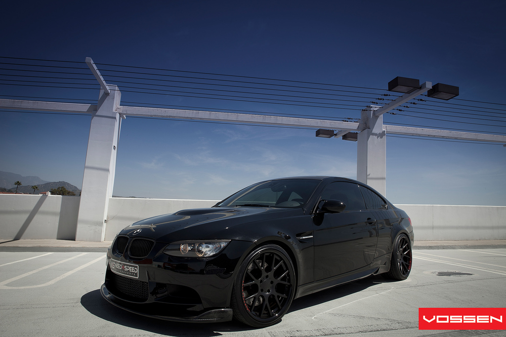 Name:  vossen11.jpg
Views: 6450
Size:  272.1 KB