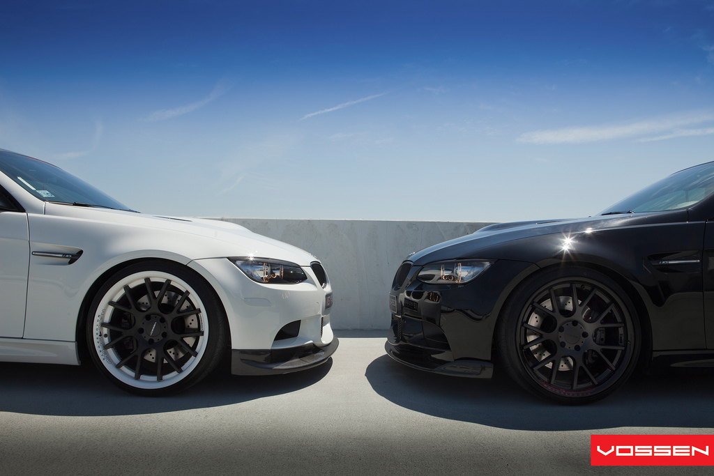 Name:  vossen15.jpg
Views: 6241
Size:  243.2 KB