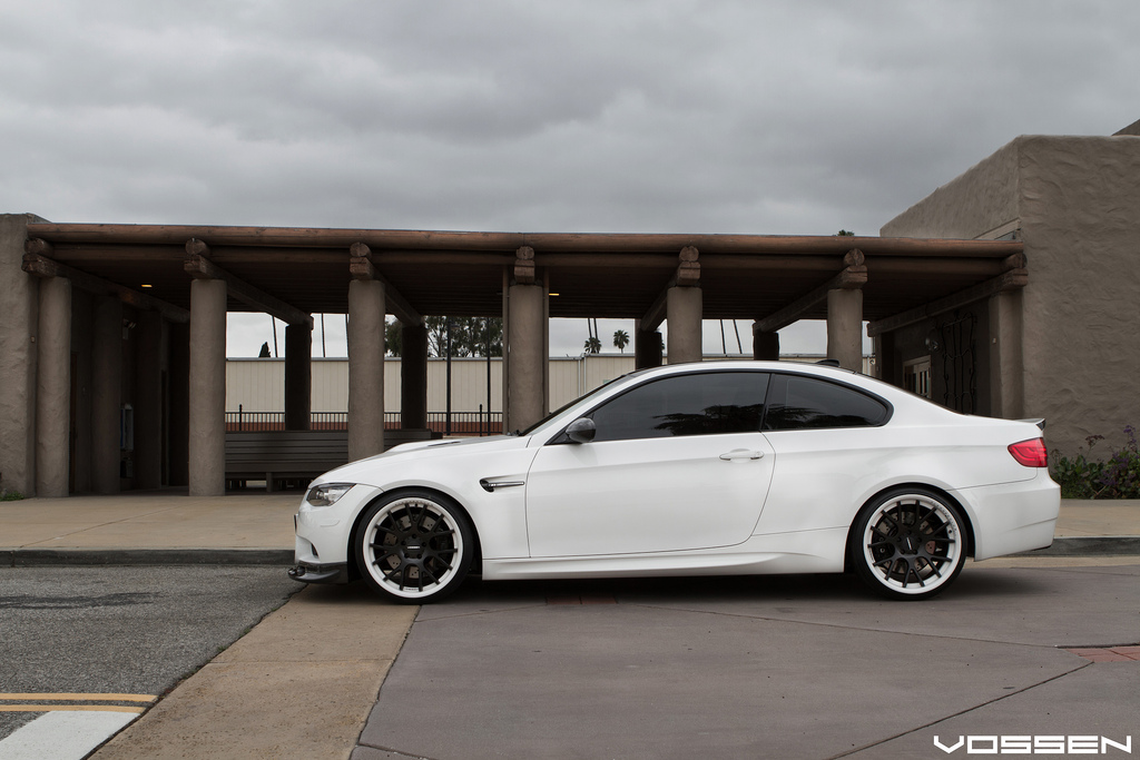 Name:  vossen21.jpg
Views: 6240
Size:  265.2 KB