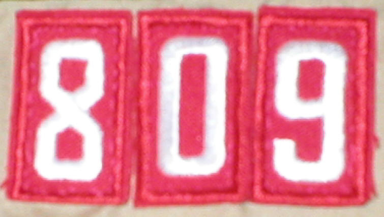 Name:  809 logo.jpg
Views: 619
Size:  43.0 KB