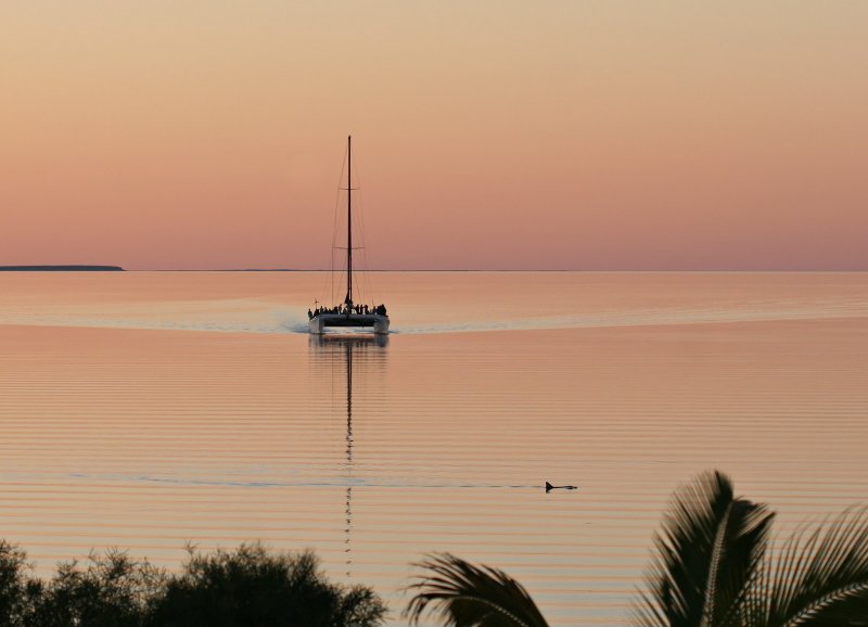 Name:  vachss- End of a Shark Bay Day.jpg
Views: 1125
Size:  47.1 KB