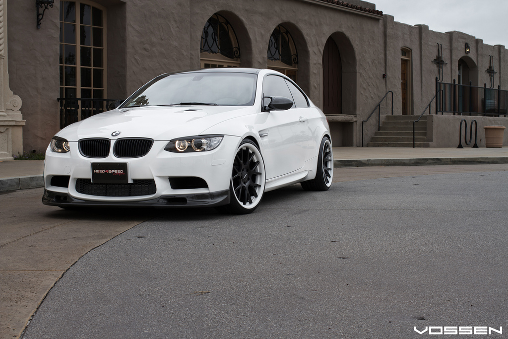 Name:  vossen19.jpg
Views: 6245
Size:  362.1 KB