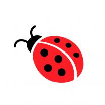 ladybug's Avatar